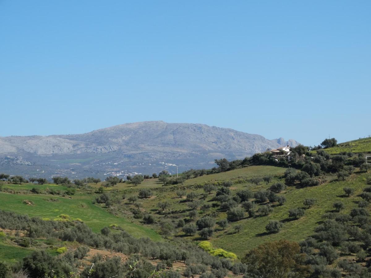 B&B Cortijo Loma Leon Cutar Luaran gambar