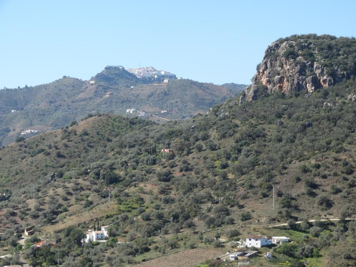 B&B Cortijo Loma Leon Cutar Luaran gambar